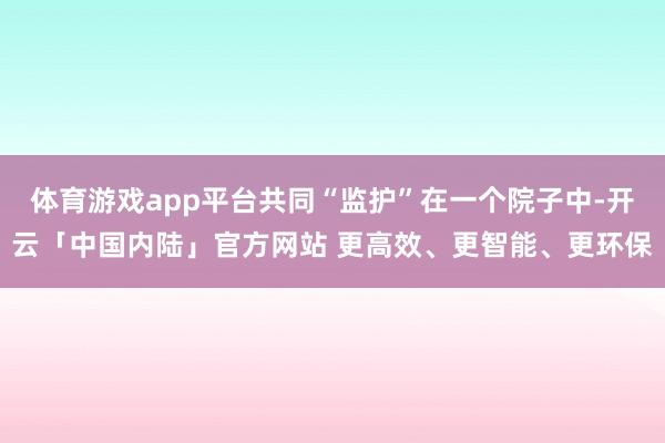 体育游戏app平台共同“监护”在一个院子中-开云「中国内陆」官方网站 更高效、更智能、更环保