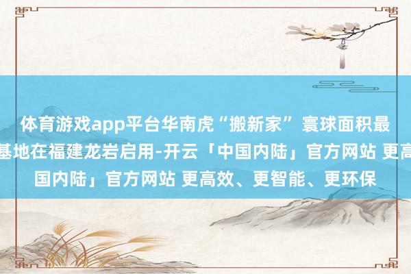 体育游戏app平台华南虎“搬新家” 寰球面积最大的华南虎野化检修基地在福建龙岩启用-开云「中国内陆」官方网站 更高效、更智能、更环保