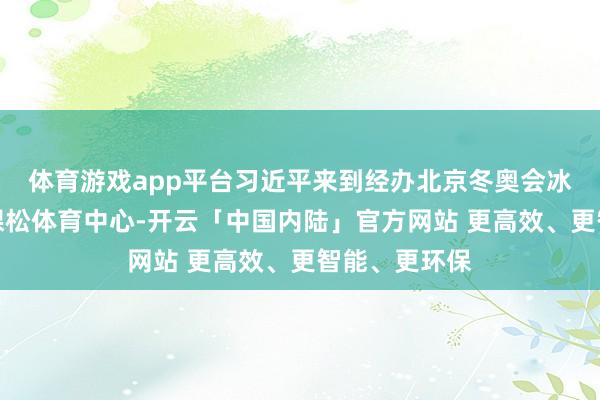体育游戏app平台习近平来到经办北京冬奥会冰球比赛的五棵松体育中心-开云「中国内陆」官方网站 更高效、更智能、更环保