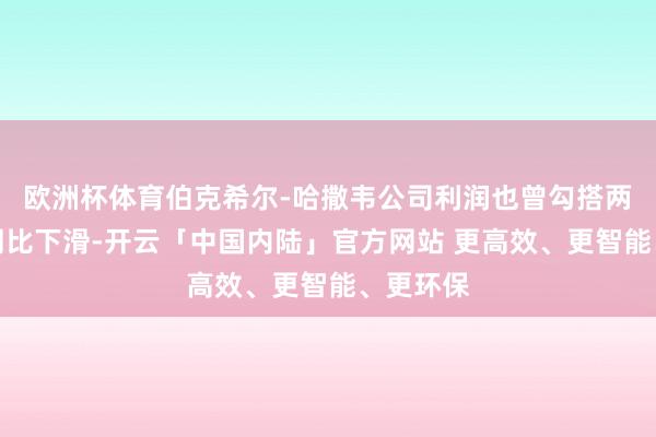 欧洲杯体育伯克希尔-哈撒韦公司利润也曾勾搭两个季度同比下滑-开云「中国内陆」官方网站 更高效、更智能、更环保