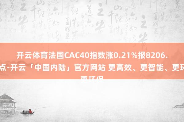 开云体育法国CAC40指数涨0.21%报8206.56点-开云「中国内陆」官方网站 更高效、更智能、更环保