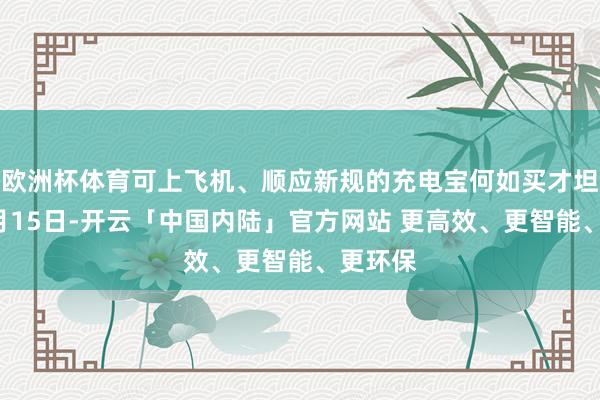 欧洲杯体育可上飞机、顺应新规的充电宝何如买才坦然？8月15日-开云「中国内陆」官方网站 更高效、更智能、更环保