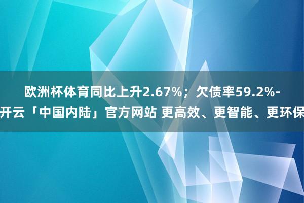 欧洲杯体育同比上升2.67%；欠债率59.2%-开云「中国内陆」官方网站 更高效、更智能、更环保