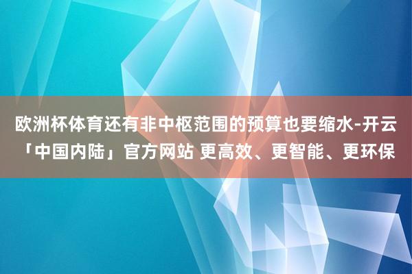 欧洲杯体育还有非中枢范围的预算也要缩水-开云「中国内陆」官方网站 更高效、更智能、更环保